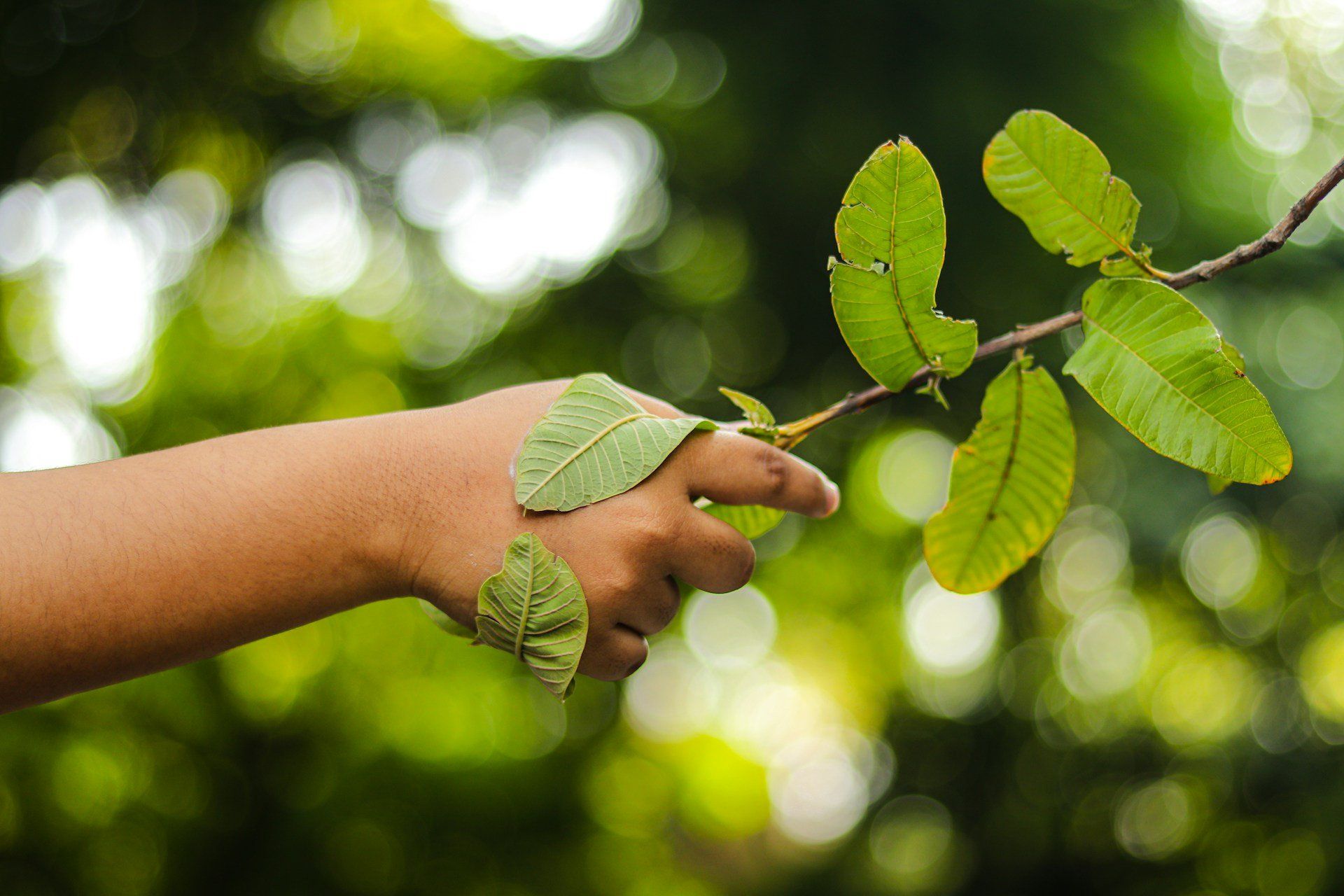 3 Day ISO 14001/45001 INTEGRATED MANAGEMENT SYSTEM (IMS) REQUIREMENTS